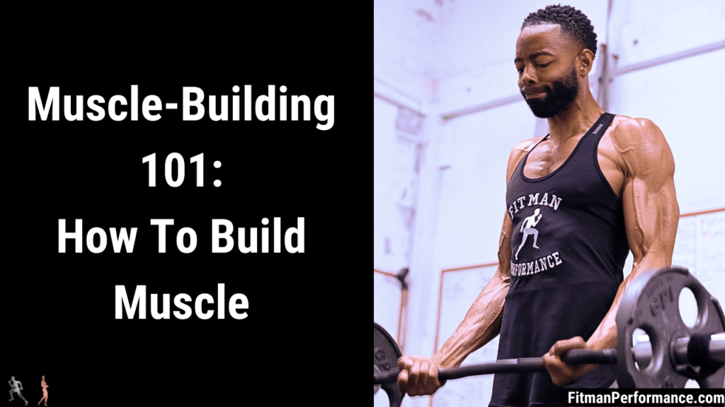 muscle building 101