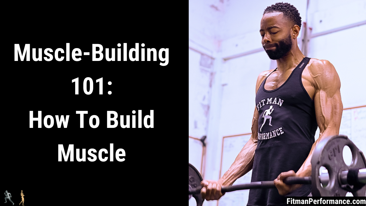 muscle building 101