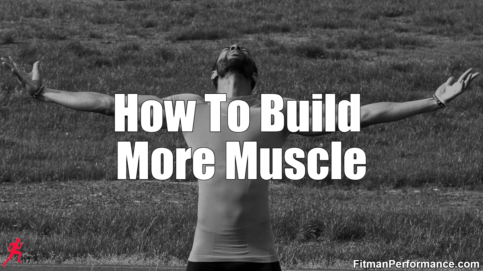how to build more muscle