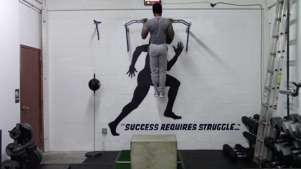 rp-21 chin ups and dips workout