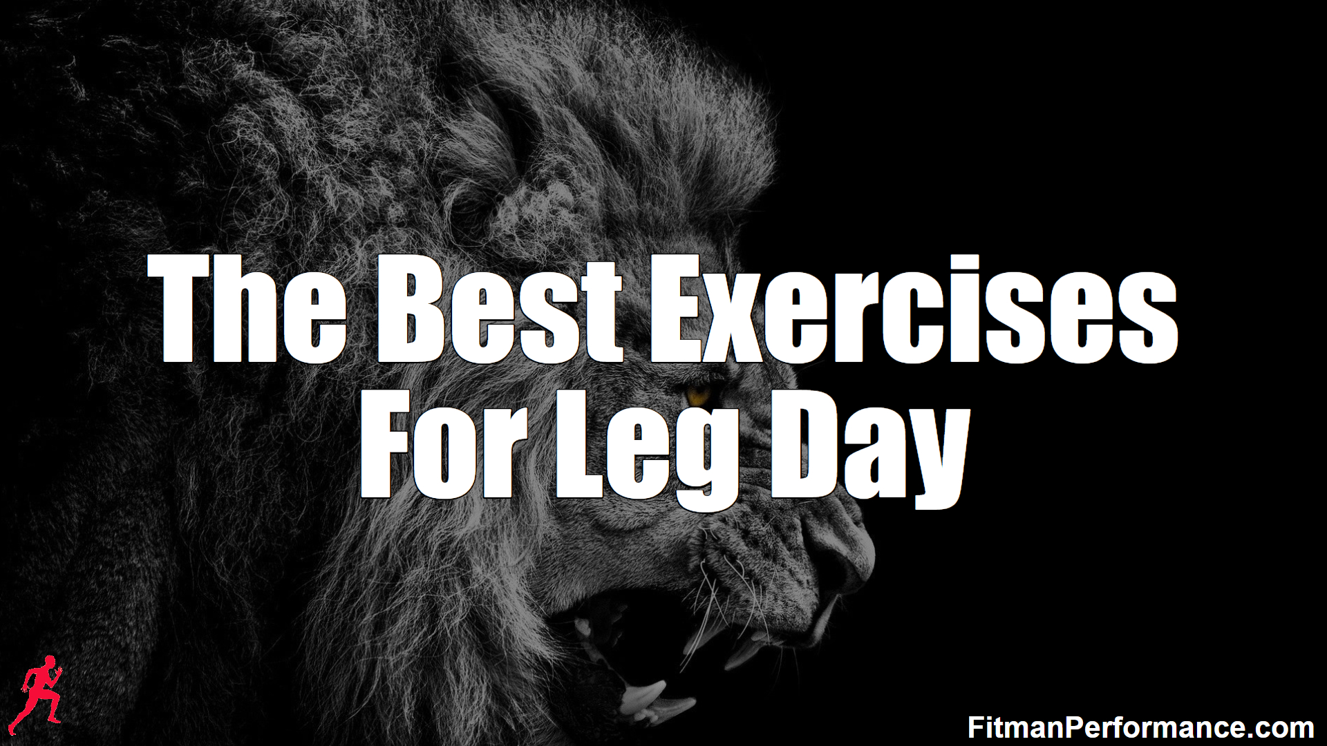 The Best Exercises For Leg Day